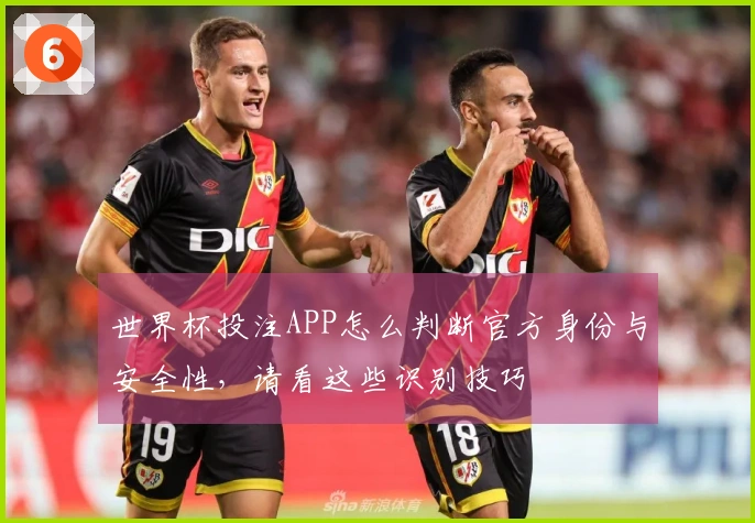 世界杯投注APP怎么判断官方身份与安全性，请看这些识别技巧