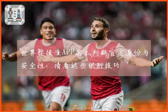 世界杯投注APP怎么判断官方身份与安全性，请看这些识别技巧
