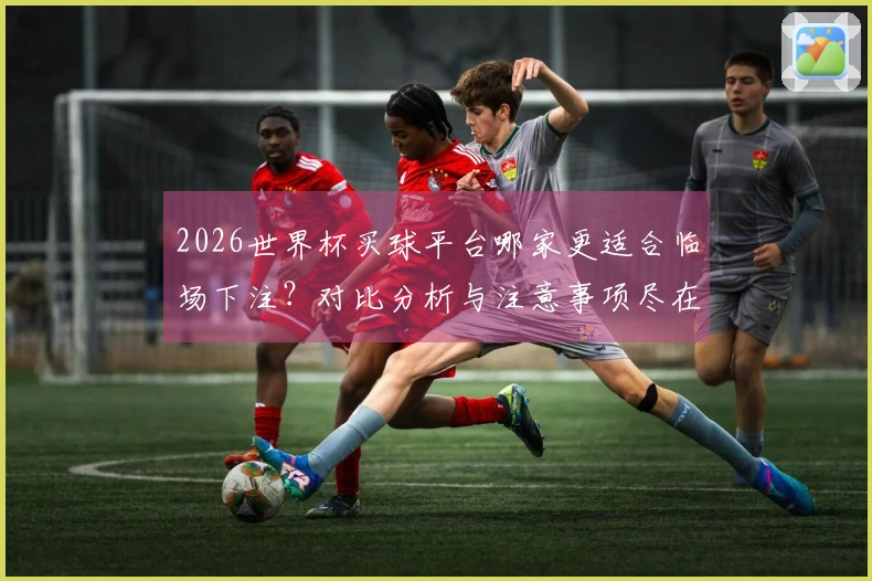 2026世界杯买球平台哪家更适合临场下注？对比分析与注意事项尽在其中